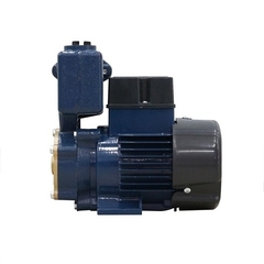 Máy bơm chân không hút đẩy Panasonic GP 250JXK 250W