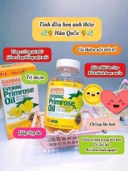 Viên Uống Tinh Dầu Hoa Anh Thảo Hàn Quốc Gamma Linolenic Acid Evening Primrose Oil 1001mg(Hộp VÀNG 300 Viên)