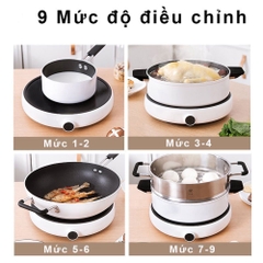 [Bản quốc tế] Bếp điện từ ZHIWUZHU ZCL010-1A