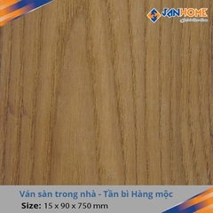 Sàn gỗ biến tính BT02