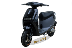 XE MÁY ĐIỆN GOGO Victoria V68-1 (Việt – Nhật)