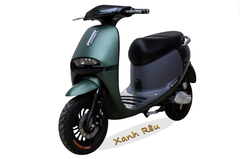 XE MÁY ĐIỆN GOGO Victoria V68-1 (Việt – Nhật)