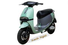 XE MÁY ĐIỆN GOGO Victoria V68-1 (Việt – Nhật)