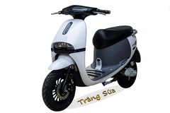 XE MÁY ĐIỆN GOGO Victoria V68-1 (Việt – Nhật)