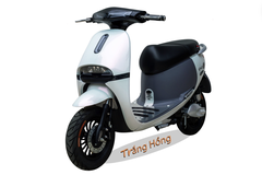 XE MÁY ĐIỆN GOGO Victoria V68-1 (Việt – Nhật)