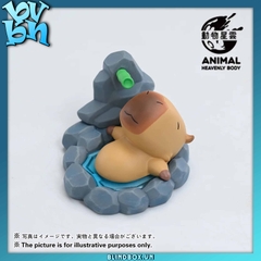 Capybara Animal Heavenly Body Version 2 Blind Box Series