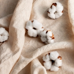 PHÂN BIỆT CÁC LOẠI COTTON TRÊN THỊ TRƯỜNG – ĐÂU LÀ LỰA CHỌN THÔNG MINH CHO NGƯỜI VIỆT?