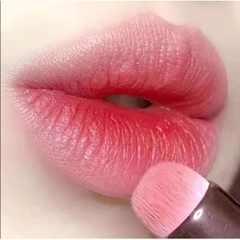 Cọ Trang Điểm Môi, Che Khuyết Điểm Đầu Tròn Đa Chức Năng