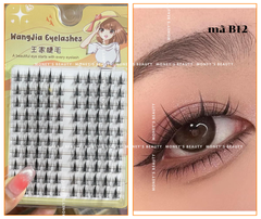 Lông Mi Giả  Lông Mi Chùm WangJia