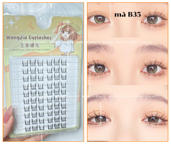 Lông Mi Giả  Lông Mi Chùm WangJia