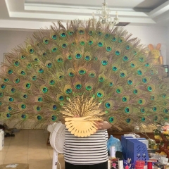 Quạt Lông Công