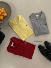 ÁO POLO CÁ XẤU NHIỀU MÀU NỮ