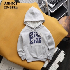 ÁO NỈ HOODIE THỜI TRANG BÉ TRAI BÉ GÁI ĐẠI