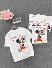 ÁO PHÔNG DISNEY TRẮNG CỘC TAY NỮ SẴN