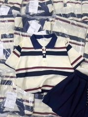 SET BỘ POLO KẺ CÚC PHỐI CV THAN NỮ