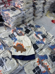 BỘ KHỦNG LONG ÁO COTTON QUẦN CỘC BÉ TRAI SẴN (xả 49k)