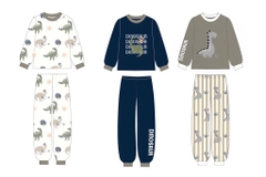 SET 3 BỘ DÀI TAY KHỦNG LONG TONE BE RÊU XANH THAN BÉ TRAI