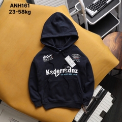 ÁO NỈ HOODIE THỜI TRANG BÉ TRAI BÉ GÁI ĐẠI