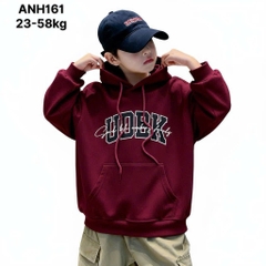 ÁO NỈ HOODIE THỜI TRANG BÉ TRAI BÉ GÁI ĐẠI