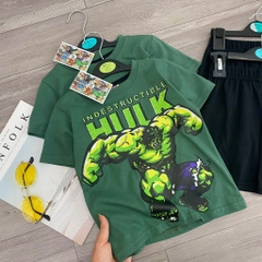 BỘ SIÊU ANH HÙNG HULK BÉ TRAI - Xả50k