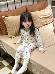 SET 2 BỘ DÀI TAM GIÁC HOMEWEAR BÉ TRAI