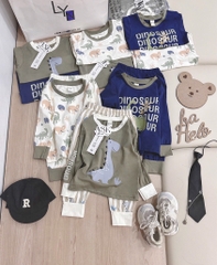 SET 3 BỘ DÀI TAY KHỦNG LONG TONE BE RÊU XANH THAN BÉ TRAI