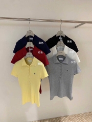 ÁO POLO CÁ XẤU NHIỀU MÀU NỮ