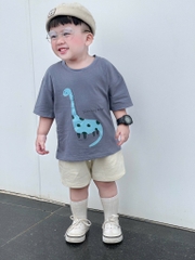 SET 3 ÁO KHỦNG LONG CỘC TAY BÉ TRAI