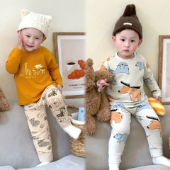 SET 2 BỘ DÀI ĐỘNG VẬT TONE MÀU CAM BÉ TRAI