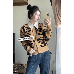 COMBO 2 CỔ ÁO NỮ SẴN