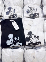 SET 2 ÁO THUN MIC.KEY DÀI TAY SẴN(XẢ 80k)