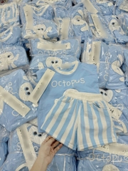 SET SN BẠCH TUỘC XANH KẺ BÉ TRAI