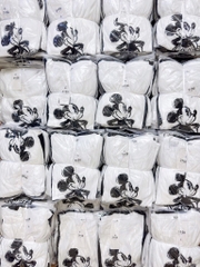 SET 2 ÁO THUN MIC.KEY DÀI TAY SẴN(XẢ 80k)