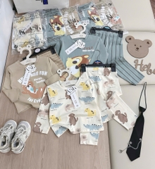SET 3 BỘ DÀI ANIMALS TONE HÀN BÉ TRAI