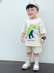 SET 3 ÁO KHỦNG LONG CỘC TAY BÉ TRAI