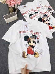 ÁO PHÔNG DISNEY TRẮNG CỘC TAY NỮ SẴN