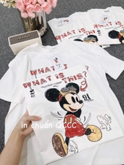 ÁO PHÔNG DISNEY TRẮNG CỘC TAY NỮ SẴN