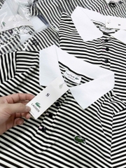 ÁO POLO LACOSTE THÊU CÁ SẤU KẺ NỮ