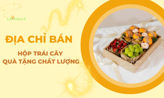 Địa Chỉ Bán Hộp Trái Cây Quà Tặng Chất Lượng