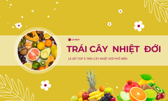 Trái cây nhiệt đới là gì? 5 loại trái cây nhiệt đới tốt nhất cho sức khỏe
