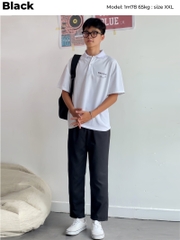 Pants 233 - Quần kaki ống suông