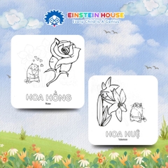 Sách Tô Màu Cùng Mèo Thông Thái: Hoa