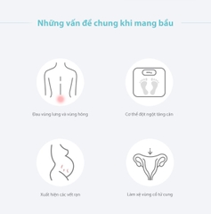 MOOIMOM Đai Nâng Bụng Bầu Vải Sợi Than Tre - Bamboo Maternity Support Belt