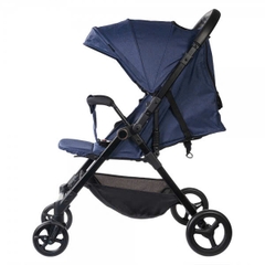 Xe đẩy Amino 2 chiều