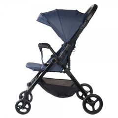 Xe đẩy Amino 2 chiều