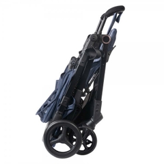 Xe đẩy Amino 2 chiều