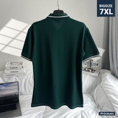 Áo Polo Bigsize Thêu Bông lúa Màu Xanh rêu