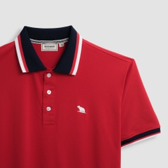 Áo Polo Bigsize Màu Đỏ Thêu Gấu Phối cổ 3 màu
