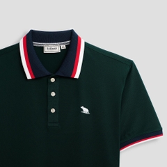 Áo Polo Bigsize Màu Xanh rêu Thêu Gấu Phối cổ 3 màu