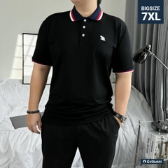 Áo Polo Bigsize Màu Đen Thêu Gấu Phối cổ 3 màu